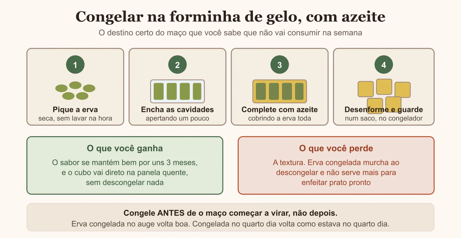 Passo a passo de congelar erva picada em forminha de gelo com azeite