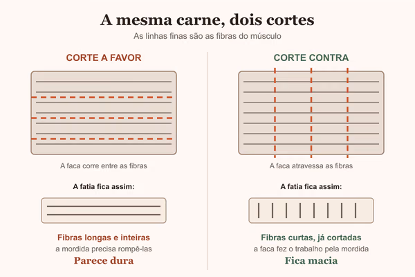 Diagrama comparando o corte a favor e contra as fibras da carne, mostrando fibras longas e curtas na fatia