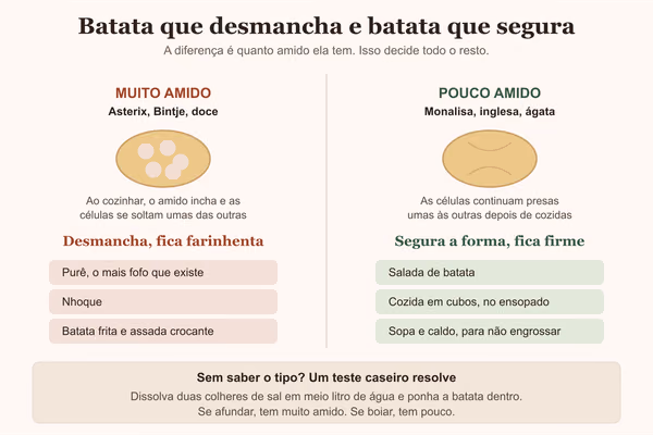 Diagrama comparando batata com muito e pouco amido, e para que serve cada uma