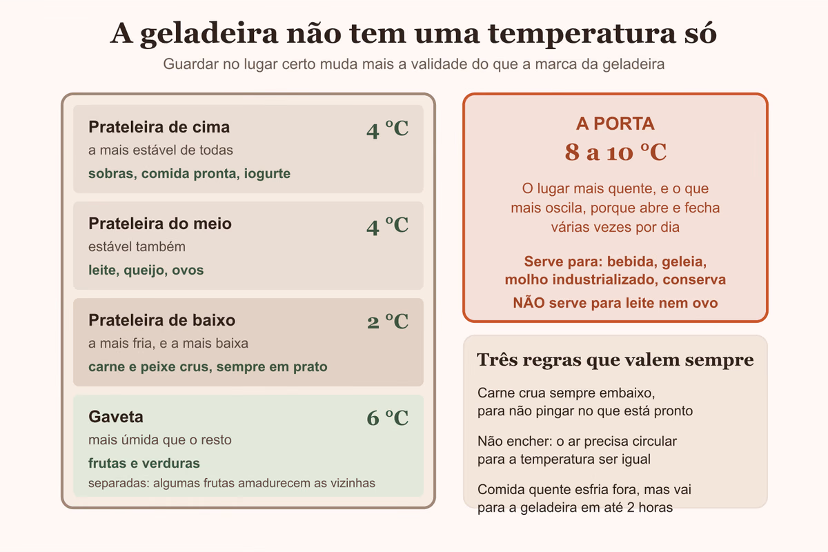 Diagrama da geladeira por prateleira, com a temperatura de cada altura e o que guardar em cada uma
