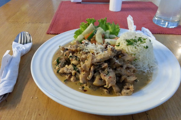 Strogonoff de frango cremoso com champignon num prato branco, ao lado de arroz branco